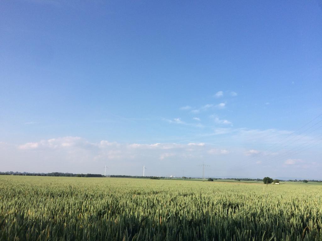 Alte Heimat Daire Schwegenheim Dış mekan fotoğraf