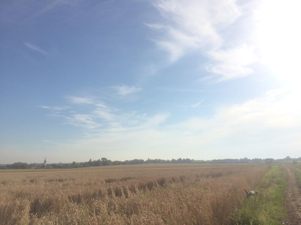Alte Heimat Daire Schwegenheim Dış mekan fotoğraf