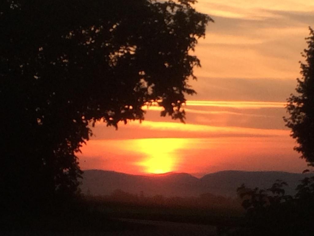 Alte Heimat Daire Schwegenheim Dış mekan fotoğraf