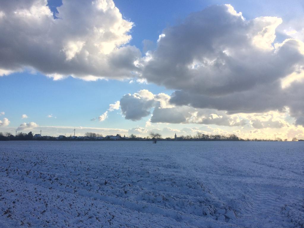 Alte Heimat Daire Schwegenheim Dış mekan fotoğraf