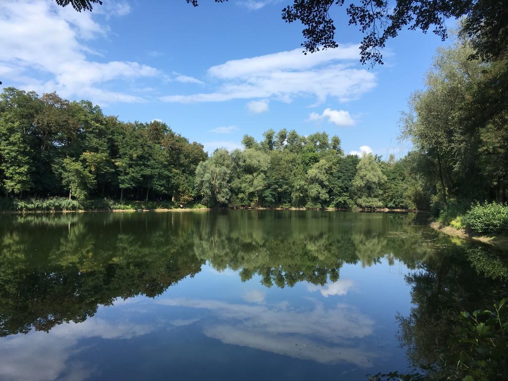 Alte Heimat Daire Schwegenheim Dış mekan fotoğraf